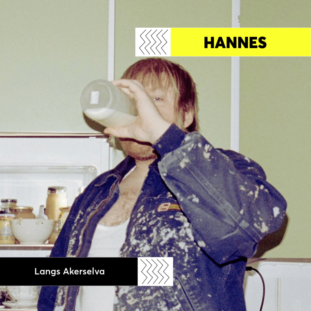 Bilde av Hannes