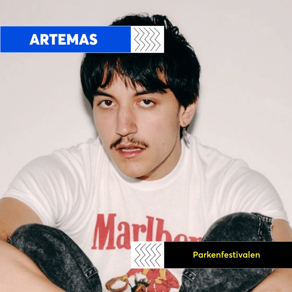 Bilde av Artemas